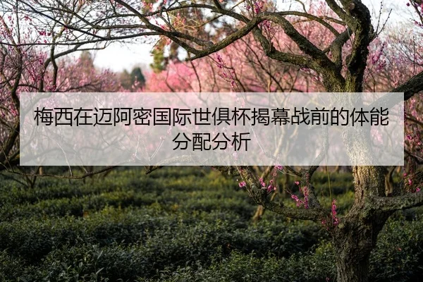 梅西在迈阿密国际世俱杯揭幕战前的体能分配分析