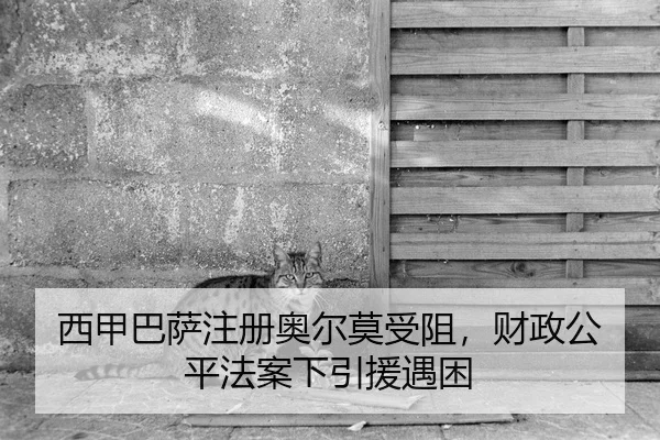 xi-jia-ba-sa-zhu-ce-ao-er-mo-shou-zu-cai-zheng-gong-ping-fa-an-xia-yin-yuan-yu-kun-2-382.jpg
